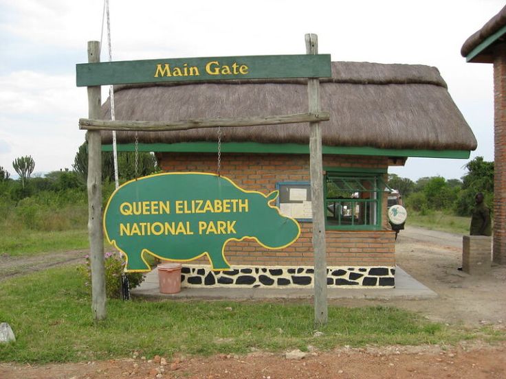 3-Day Queen Elizabeth Tour in Uganda – Big 5, Birding & Cultural Tour