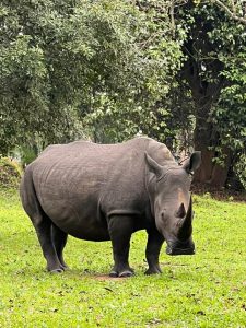 Queen Elizabeth National Park
