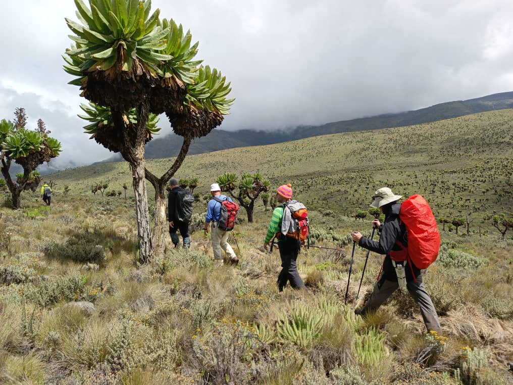 Mountain Elgon National Park - View 1