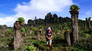 Mountain Elgon National Park