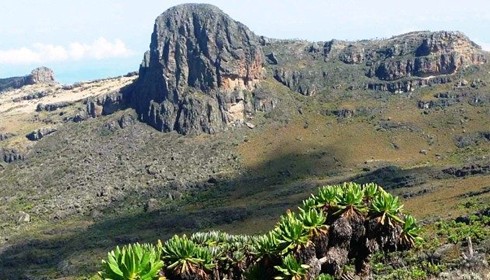 Mountain Elgon National Park - Photo 3