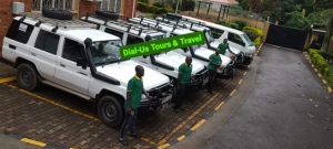 transport6