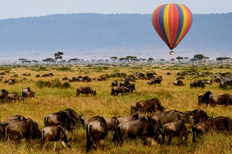 Tarangire, Serengeti & Ngorongoro Crater (3 Parks) Overview