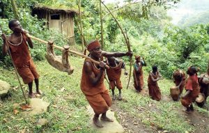 Batwa Cultural tour